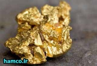 قیمت جهانی طلا به پایین ترین سطح در 7 هفته اخیر رسید