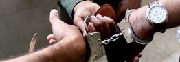 دستگیری ۱۴ تن از کارکنان پتروشیمی شیراز به جرم اخلال در نظام اقتصادی / شناسایی و پلمب ۵ انبار در این ارتباط   